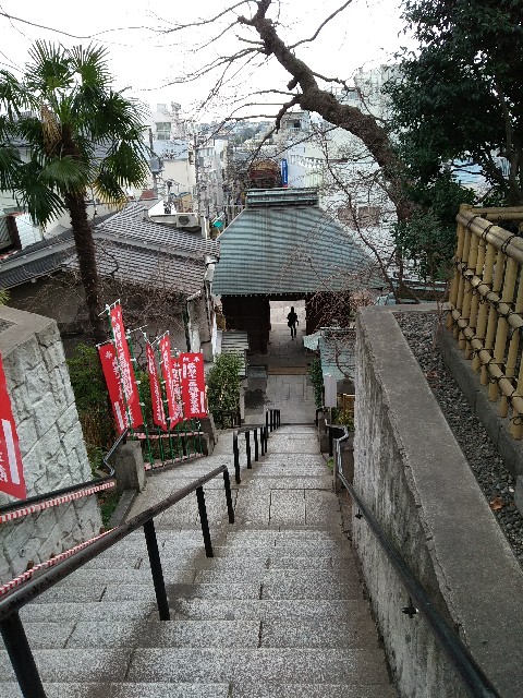 f:id:hachi555:20180315081835j:image