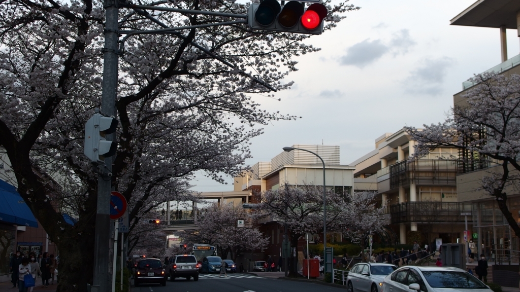 f:id:hachi555:20180324205855j:plain