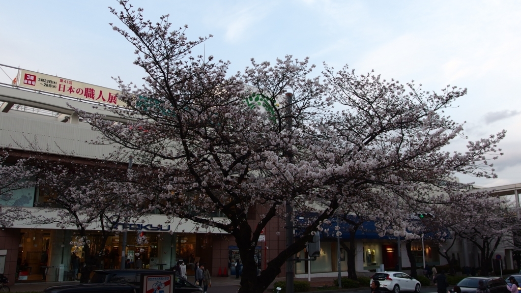 f:id:hachi555:20180324210021j:plain