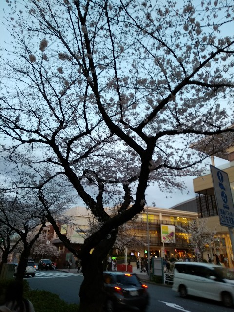 f:id:hachi555:20180324214309j:image