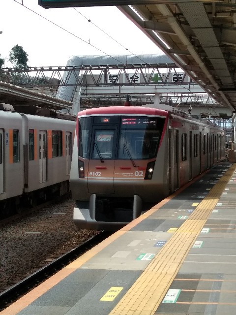 f:id:hachi555:20180326082444j:image