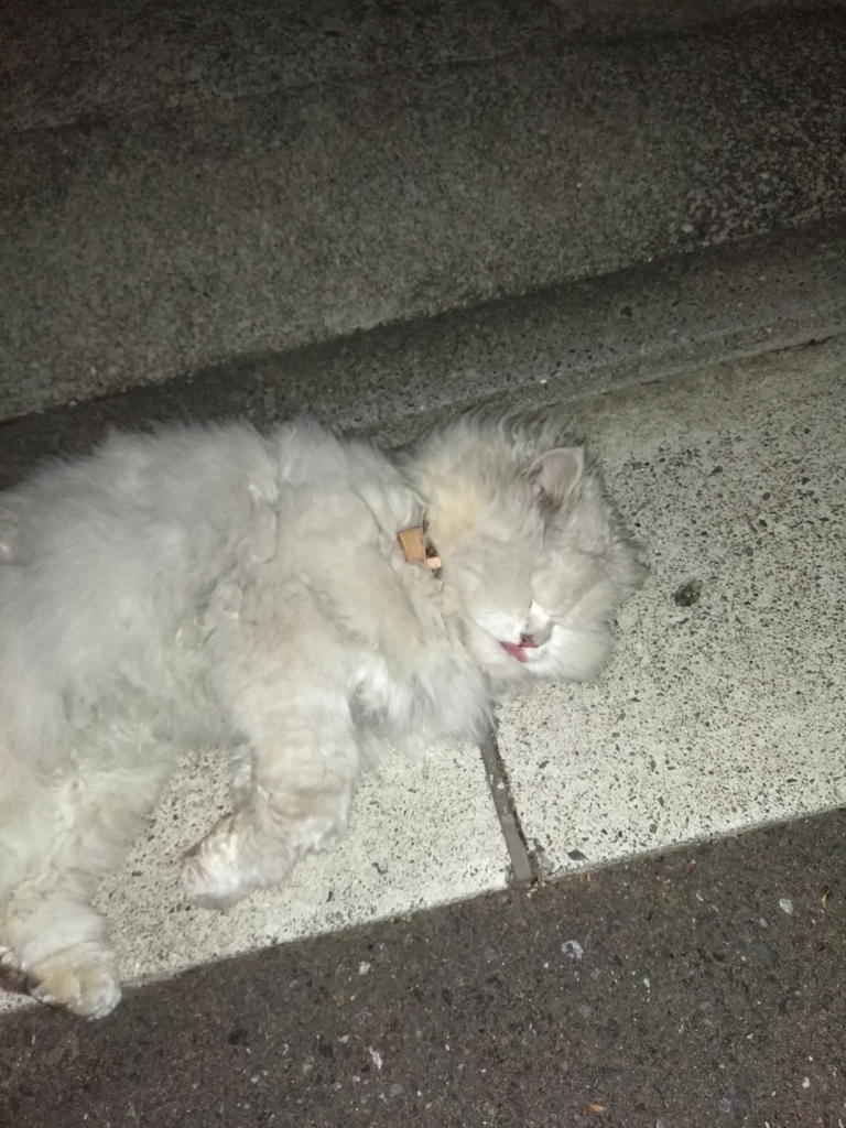 f:id:hachi555:20180408112323j:plain