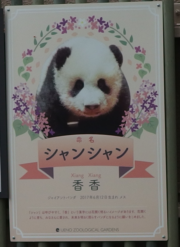 f:id:hachi555:20180504082143p:plain f:id:hachi555:20180504082143p:plain