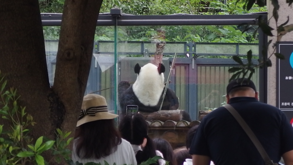 f:id:hachi555:20180505205645j:plain f:id:hachi555:20180505205645j:plain