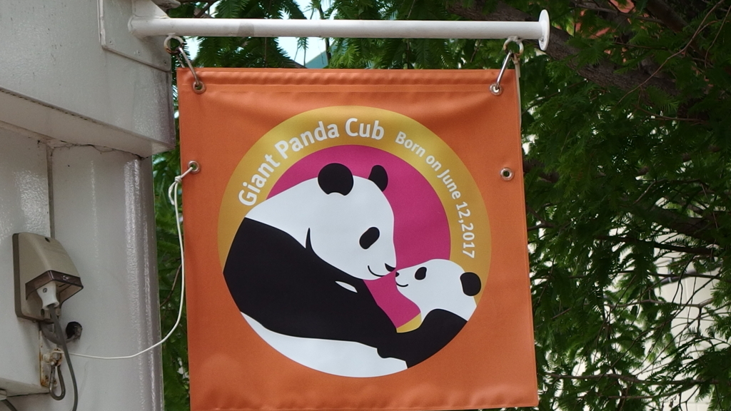 f:id:hachi555:20180512210711j:plain f:id:hachi555:20180512210711j:plain