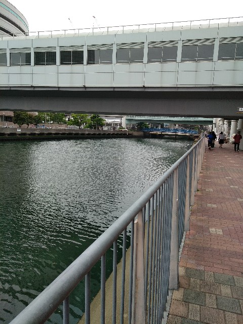 f:id:hachi555:20180526072345j:image