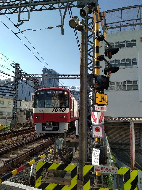 f:id:hachi555:20180604080849j:image