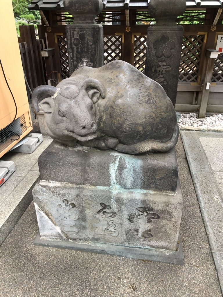 f:id:hachi555:20180812101815j:plain f:id:hachi555:20180812101815j:plain