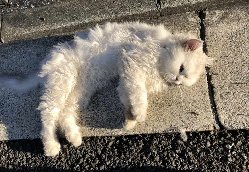 f:id:hachi555:20180814103149j:plain f:id:hachi555:20180814103149j:plain