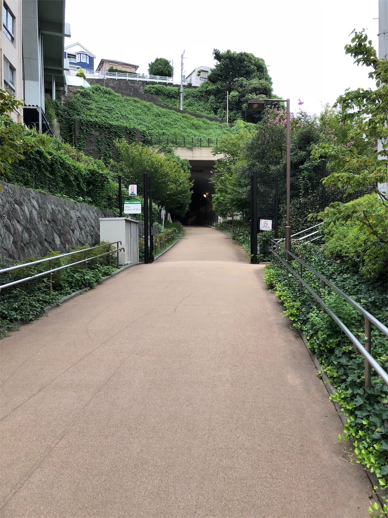 f:id:hachi555:20180910165457j:image
