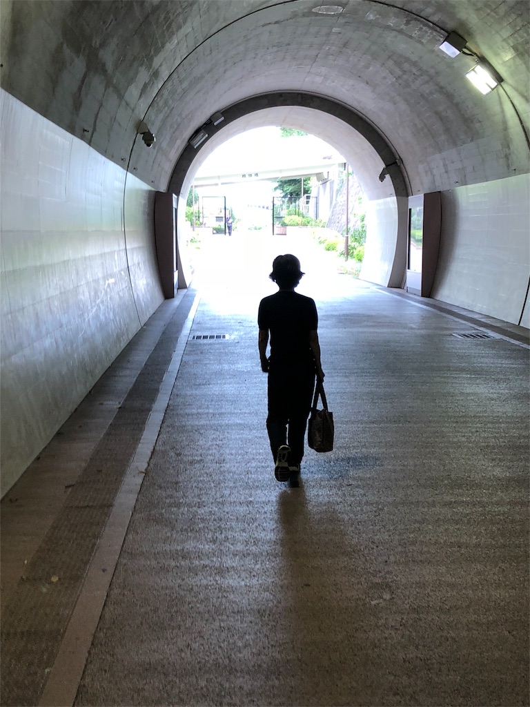 f:id:hachi555:20180910165612j:image