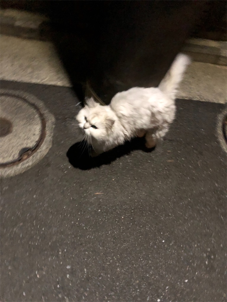 f:id:hachi555:20180915094212j:image