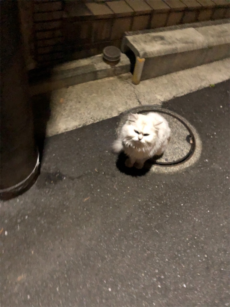 f:id:hachi555:20180915094215j:image