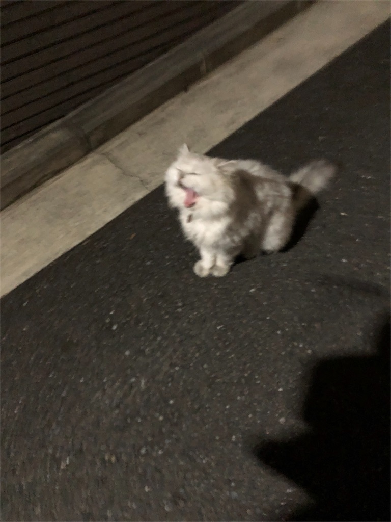 f:id:hachi555:20180915094217j:image