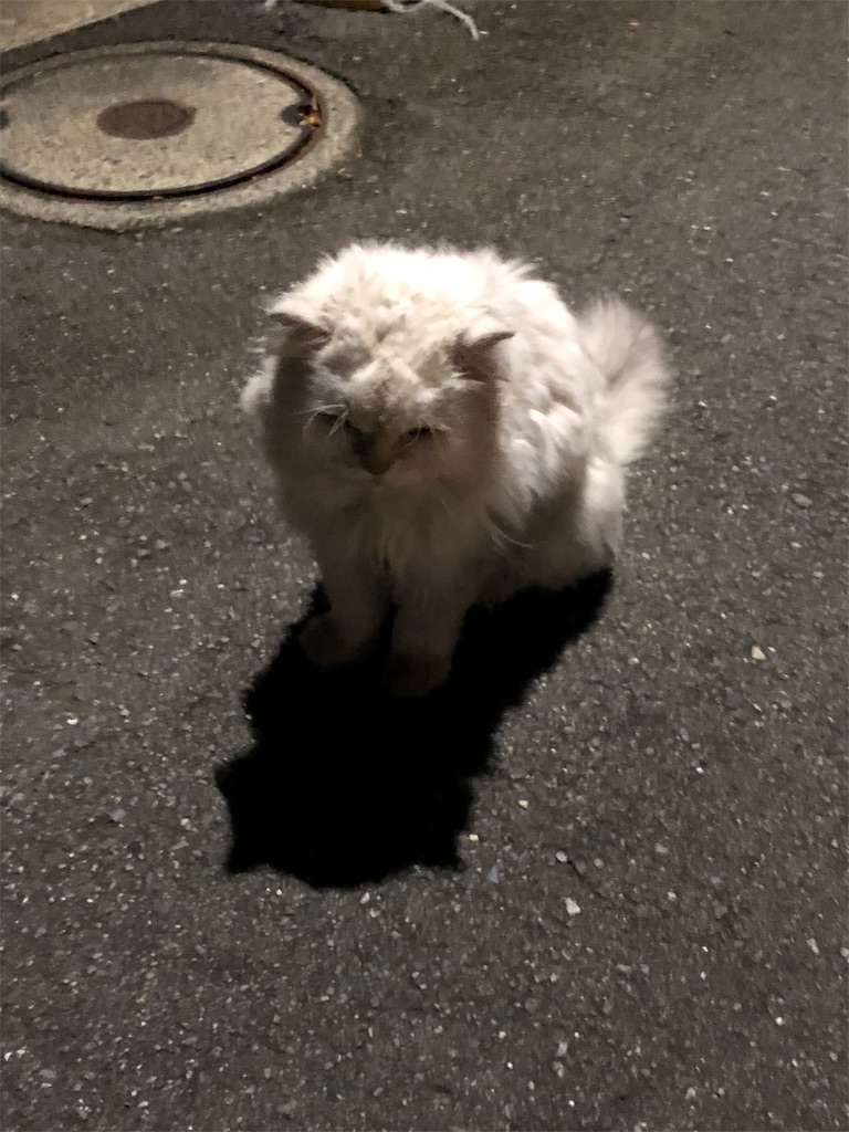 f:id:hachi555:20181014164123j:image f:id:hachi555:20181014164123j:image