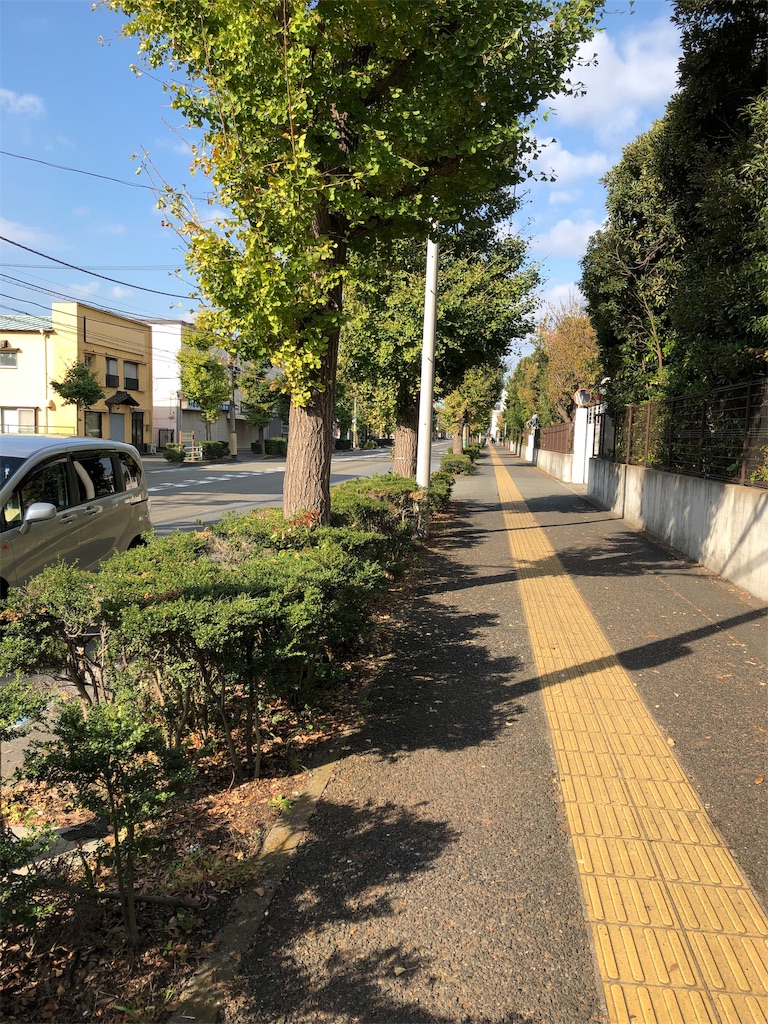 f:id:hachi555:20181111165726j:image f:id:hachi555:20181111165726j:image