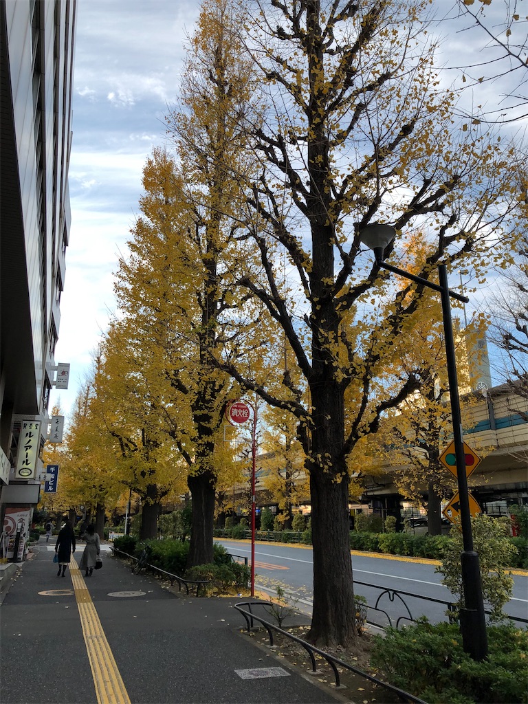 f:id:hachi555:20200112152848j:image f:id:hachi555:20200112152848j:image