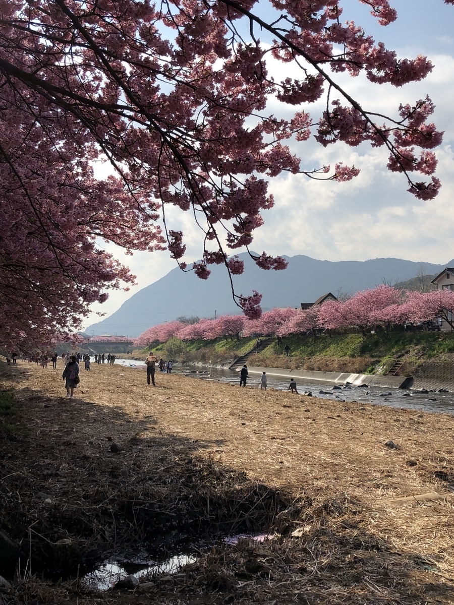 f:id:hachi555:20200502102149j:plain f:id:hachi555:20200502102149j:plain