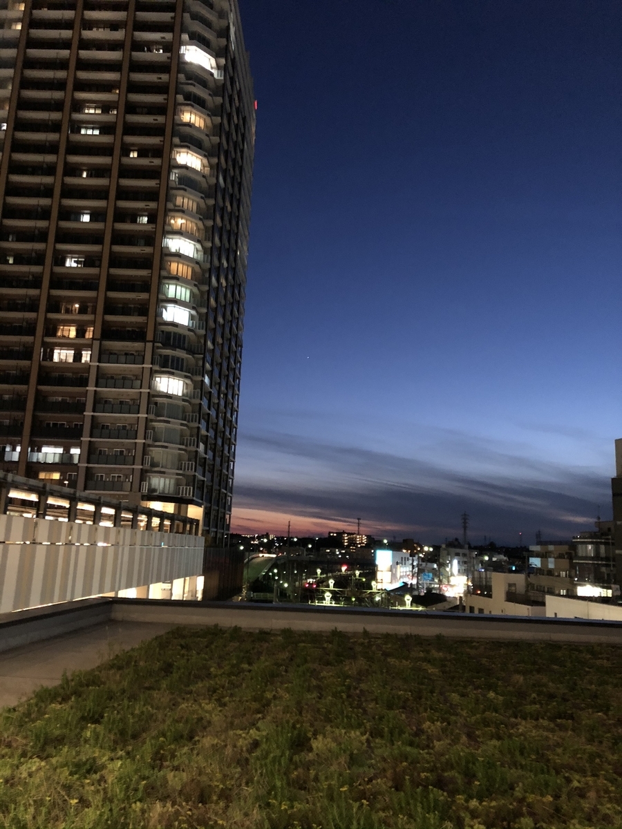 f:id:hachi555:20200607092546j:plain