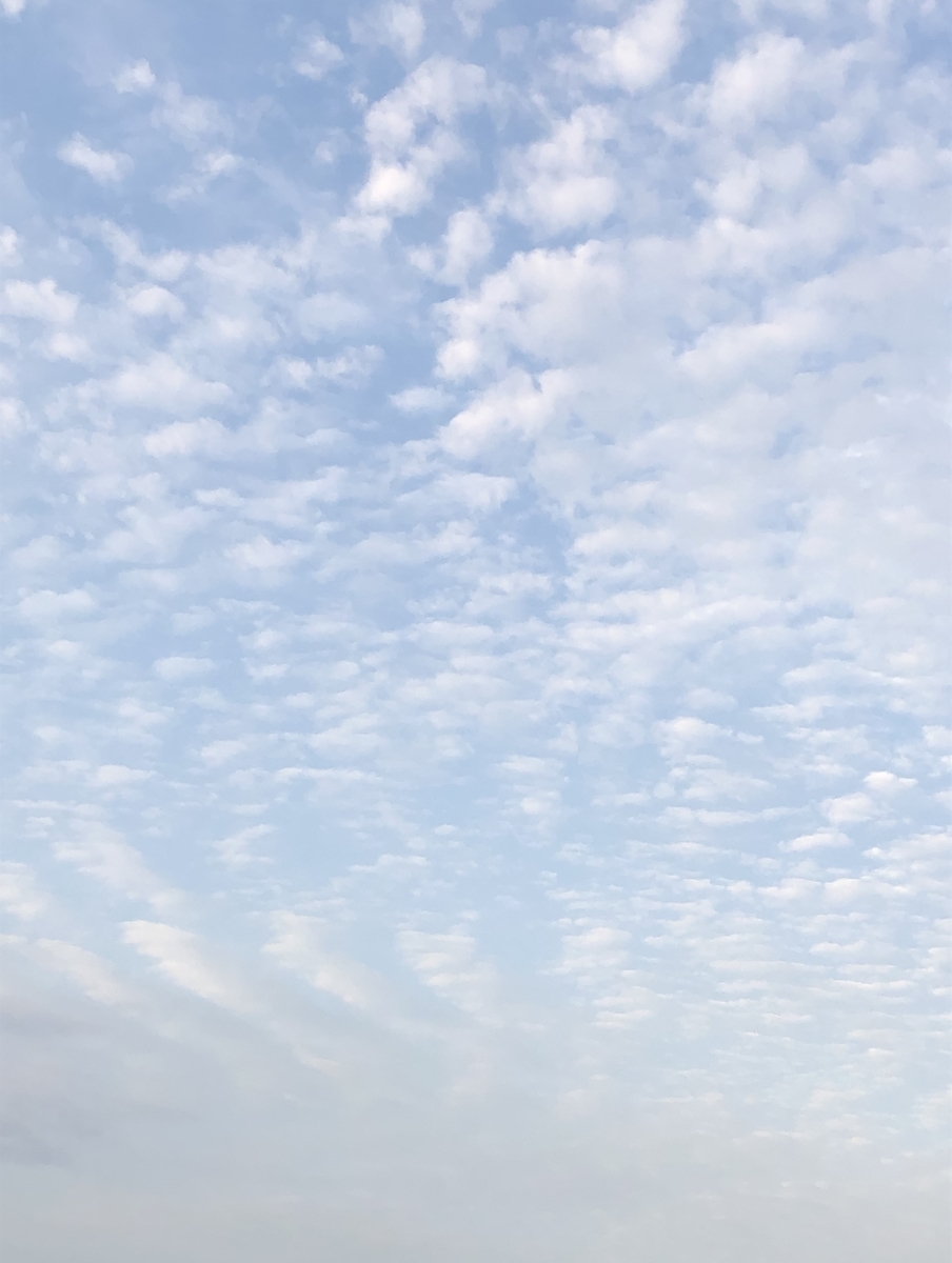 f:id:hachi555:20201004224410j:plain