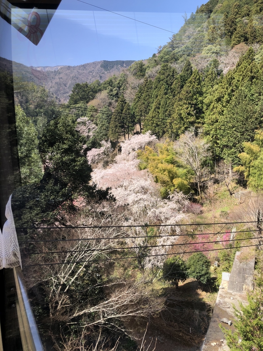 f:id:hachi555:20210430084632j:plain