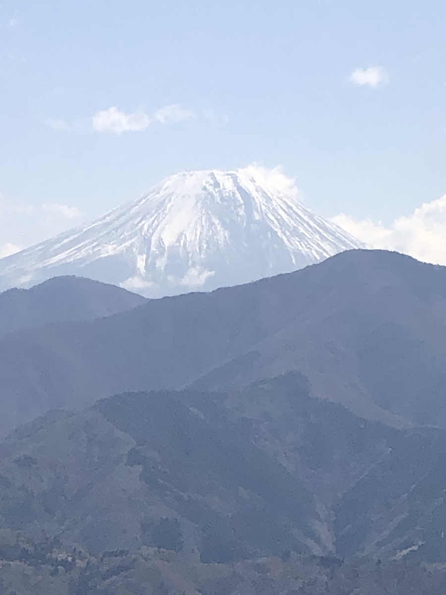 f:id:hachi555:20210430084950j:plain