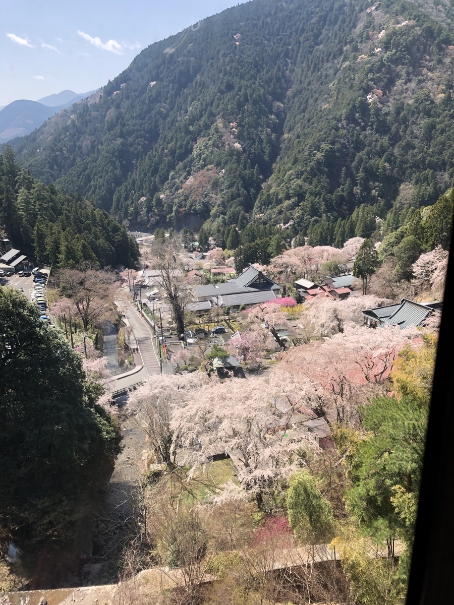 f:id:hachi555:20210430155032j:plain
