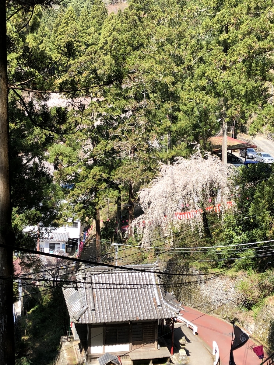 f:id:hachi555:20210430160035j:plain