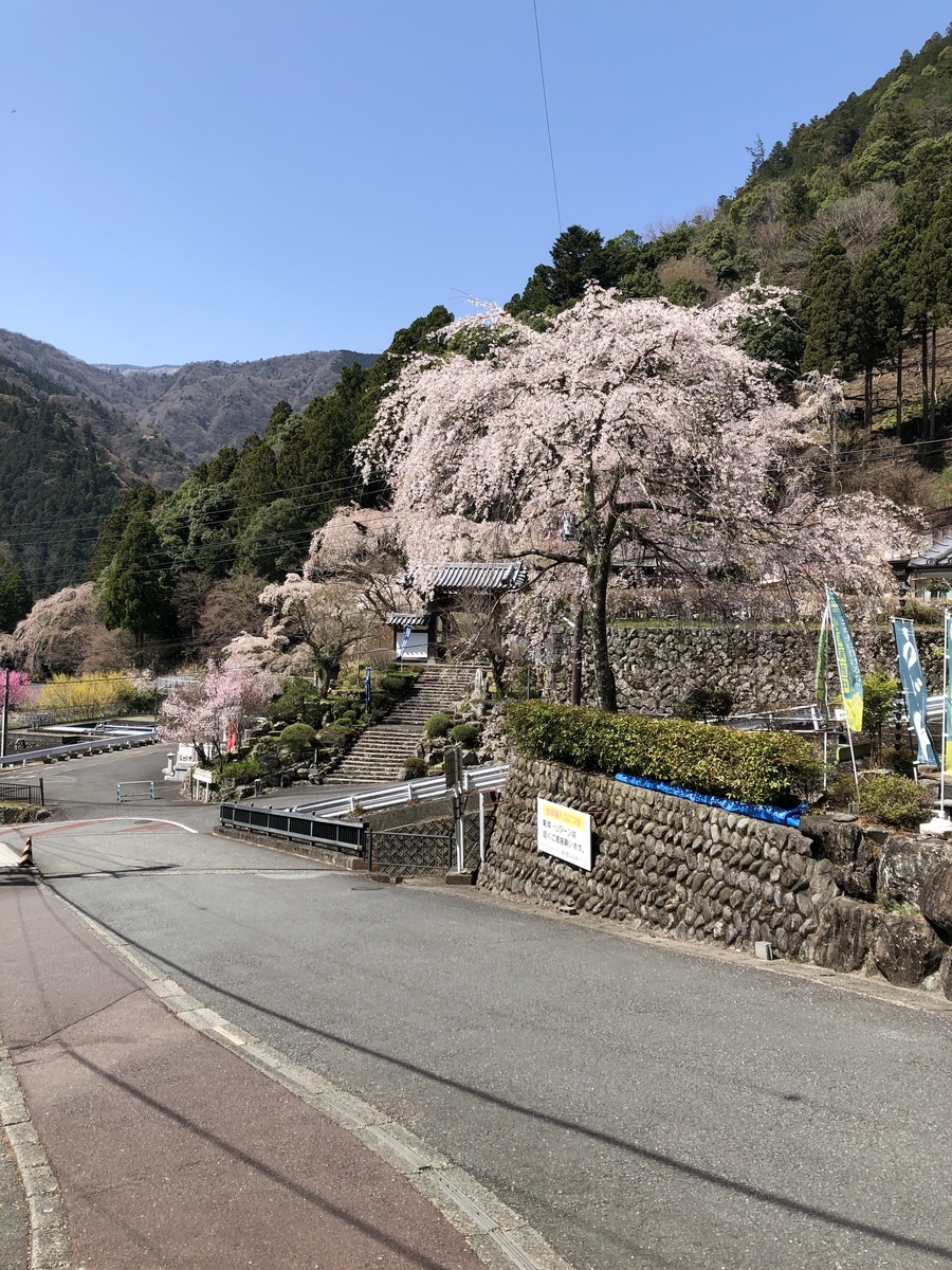 f:id:hachi555:20210430160234j:plain