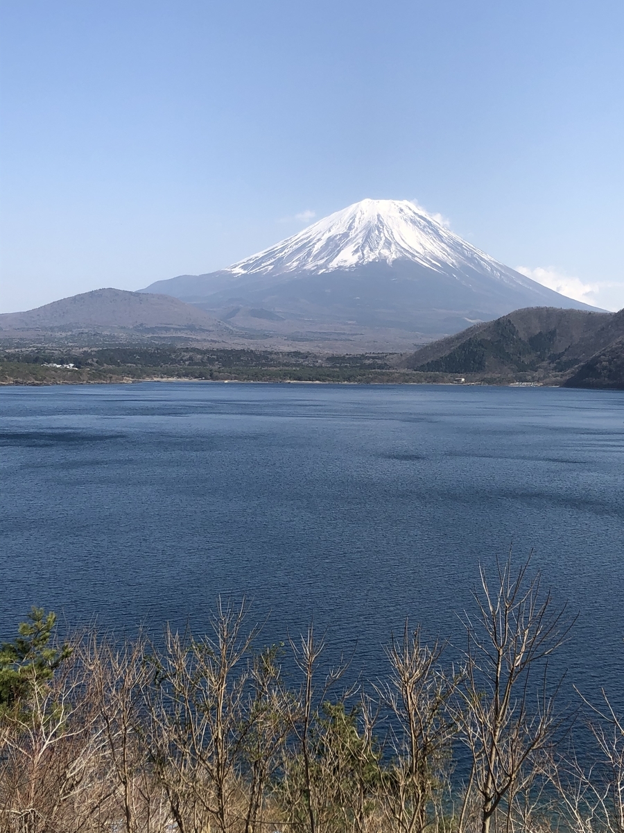 f:id:hachi555:20210507101417j:plain