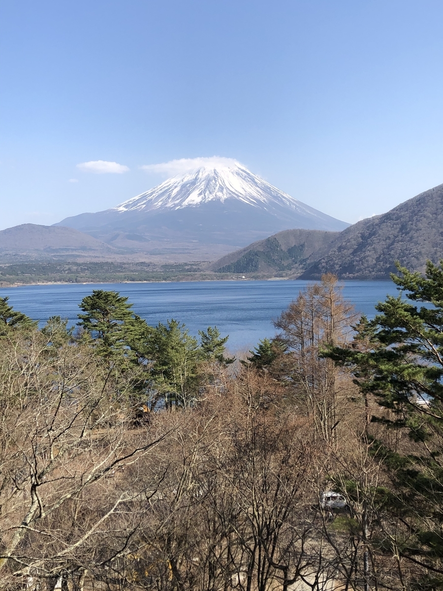 f:id:hachi555:20210507103741j:plain