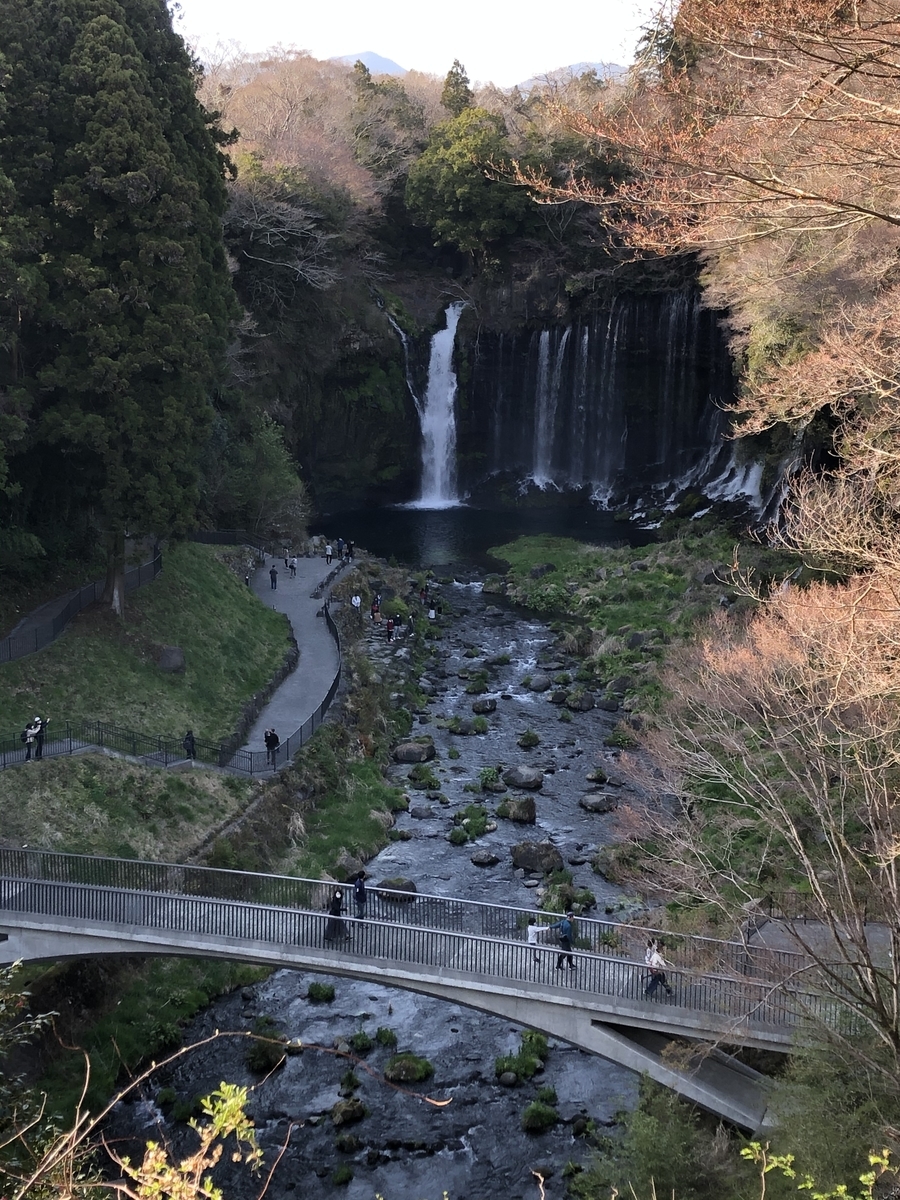 f:id:hachi555:20210507113233j:plain