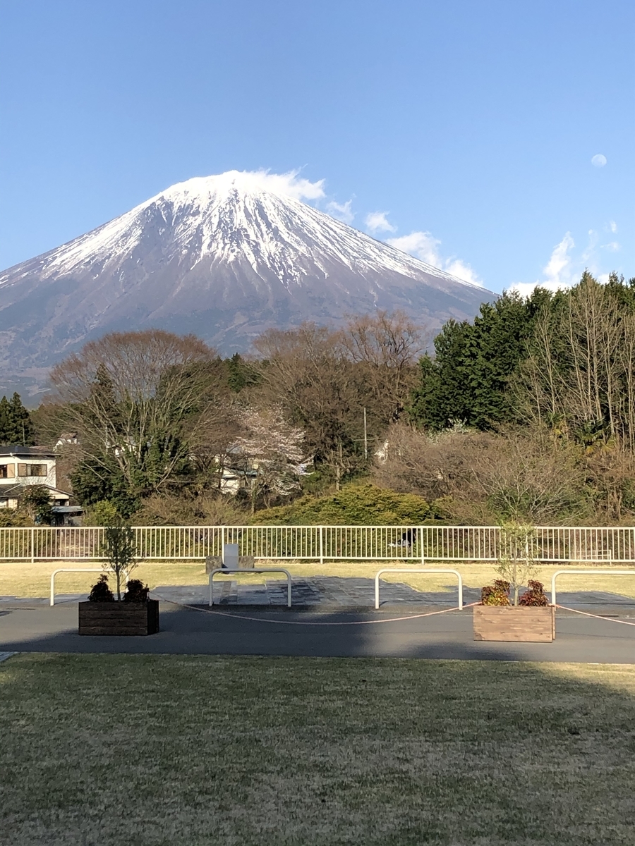 f:id:hachi555:20210507113818j:plain