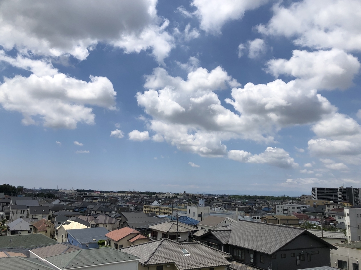 f:id:hachi555:20210526192247j:plain