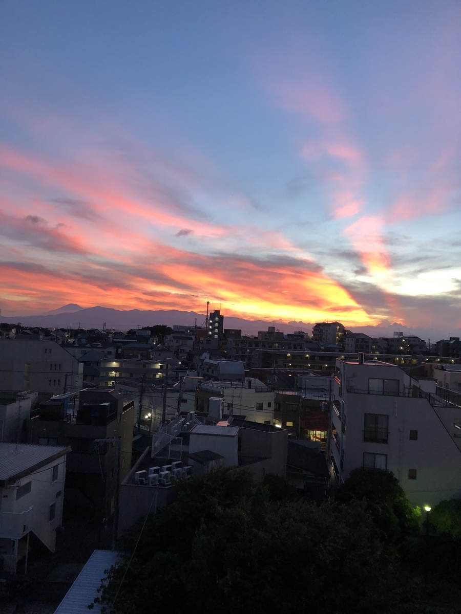 f:id:hachi555:20210905163758j:plain