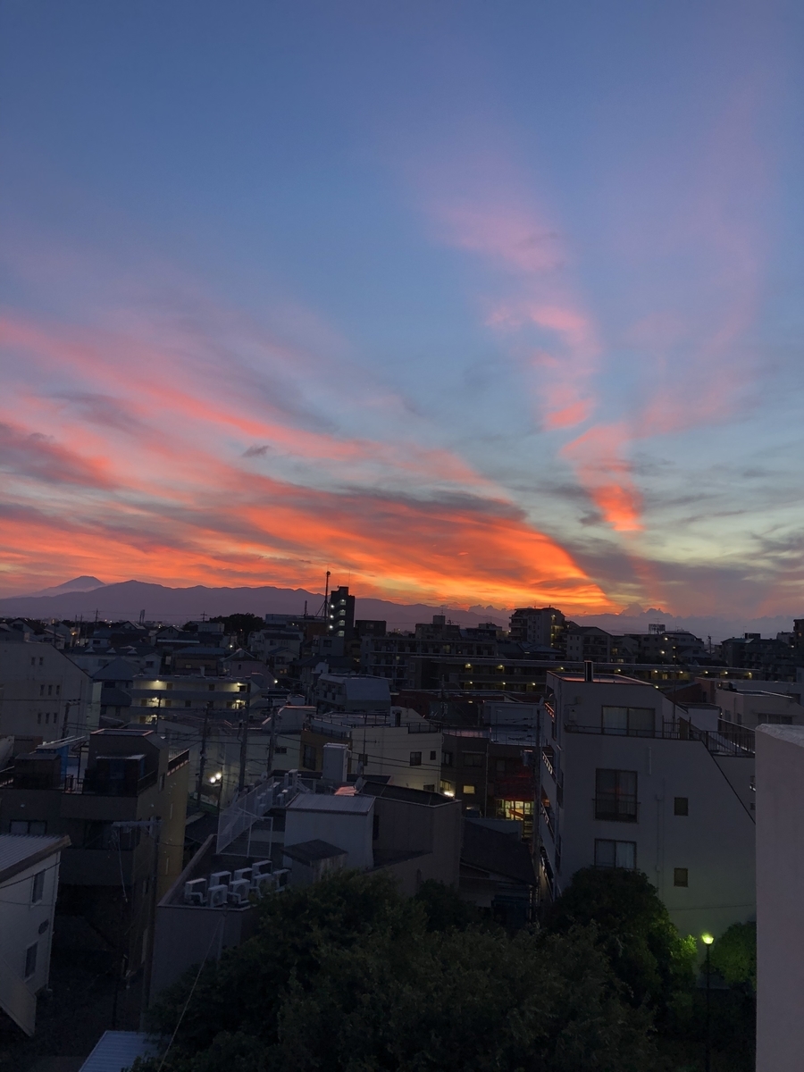 f:id:hachi555:20210905163833j:plain