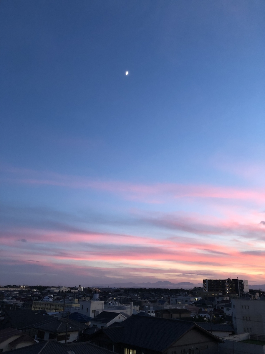 f:id:hachi555:20210905164014j:plain