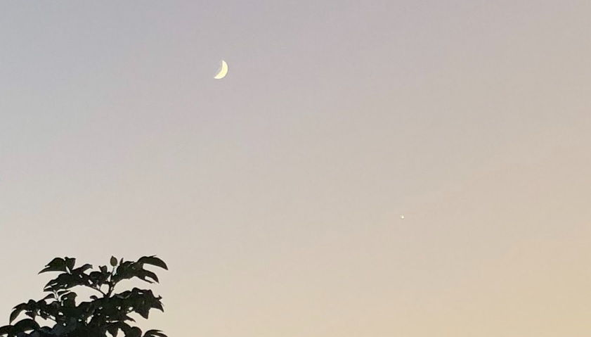 f:id:hachi555:20211010214751j:plain