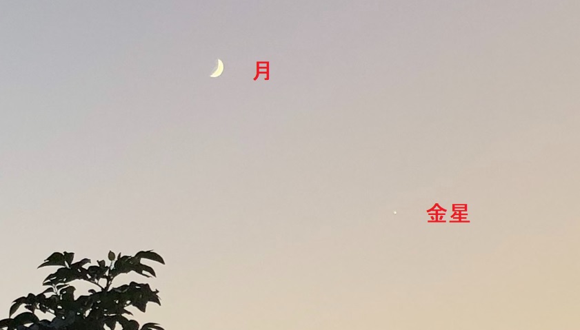 f:id:hachi555:20211010220121j:plain