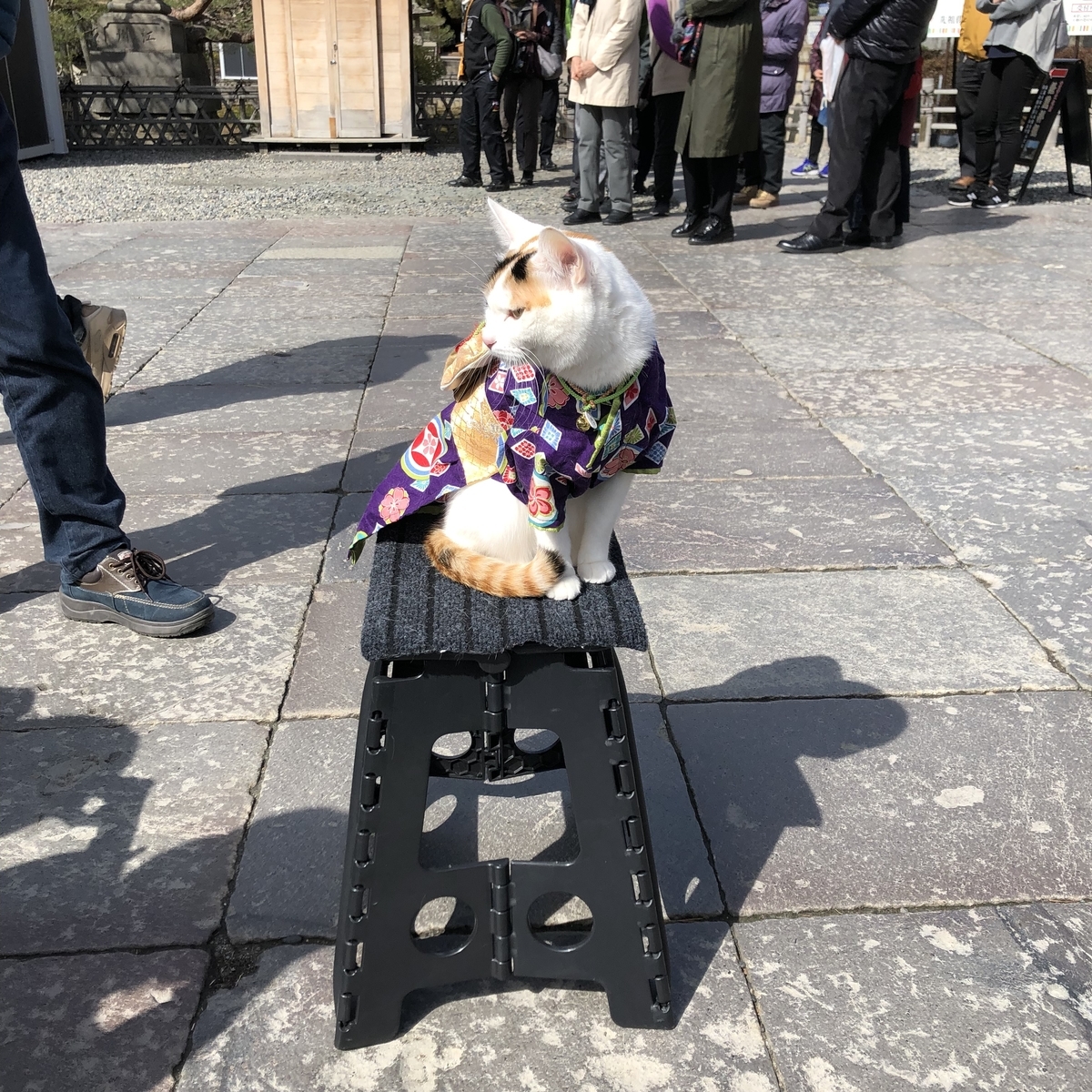 f:id:hachi555:20220323120530j:plain