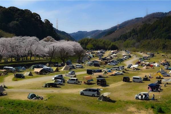 桜ツーリング 笠置キャンプ場でお花見キャンプ 22年 シンプルに生きる