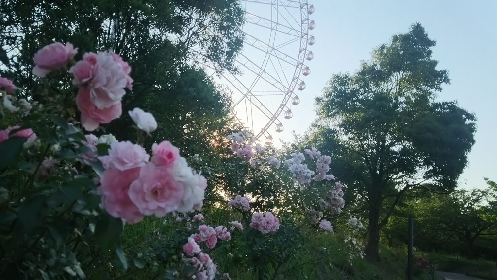 f:id:hachi82co:20160709142402j:plain