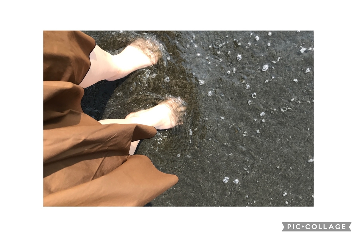 f:id:hachi_and_kuma:20220303124309j:plain
