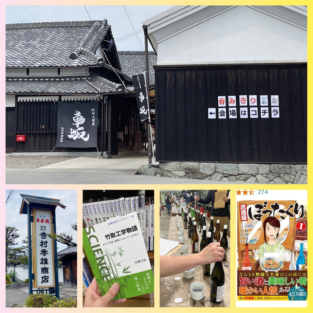 f:id:hachi_radi:20240604202121j:image