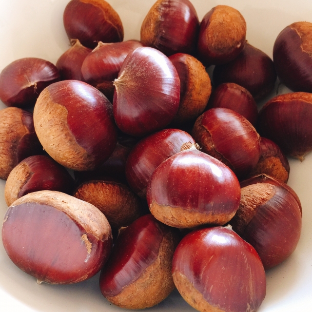 f:id:hachibura:20200901073102j:plain f:id:hachibura:20200901073102j:plain