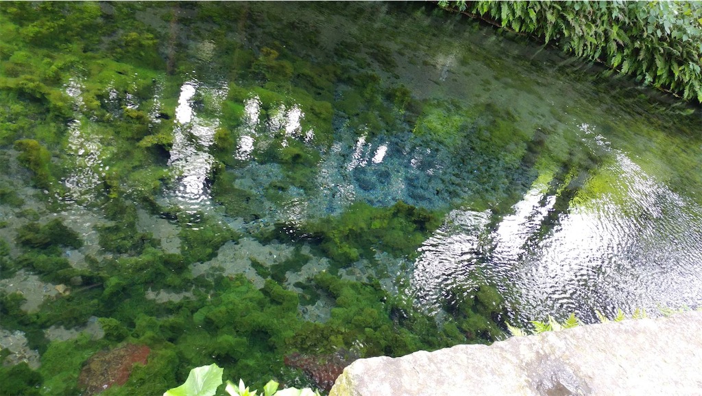 f:id:hachiburo:20191123173530j:image f:id:hachiburo:20191123173530j:image