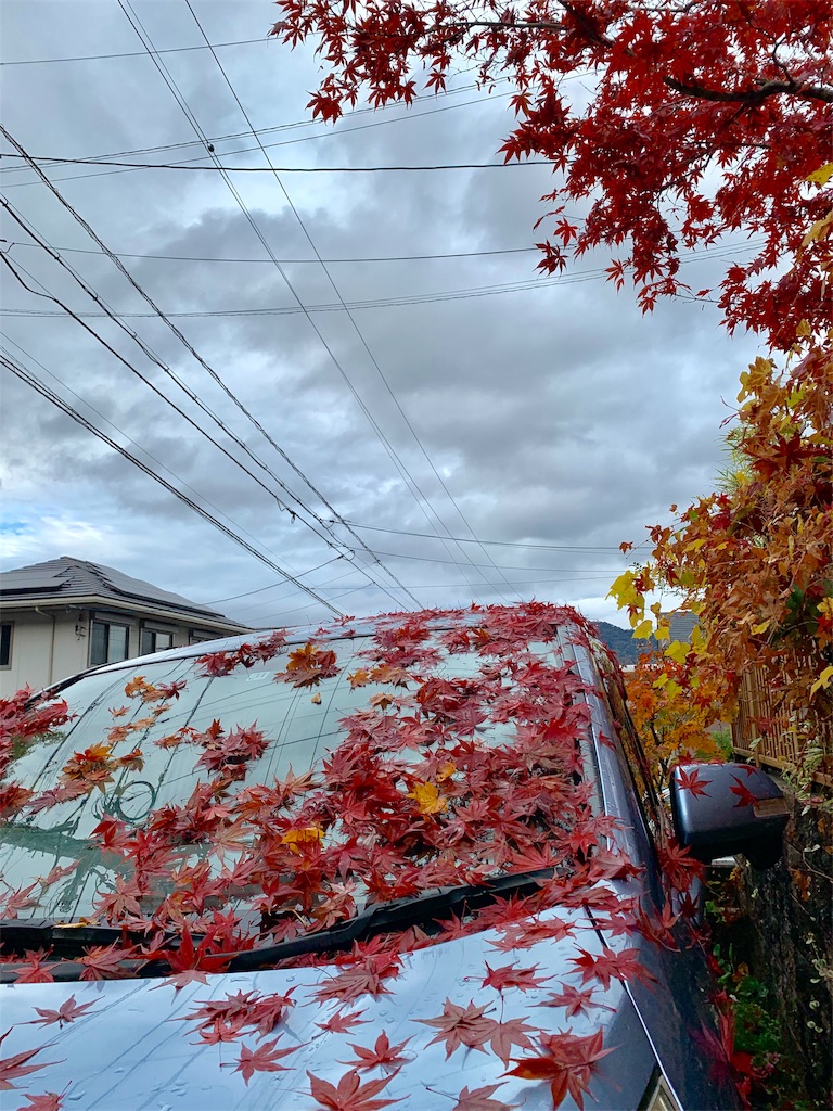 f:id:hachiburo:20191212084810j:image