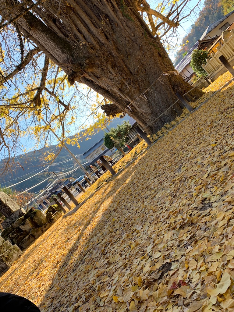f:id:hachiburo:20191231081542j:image