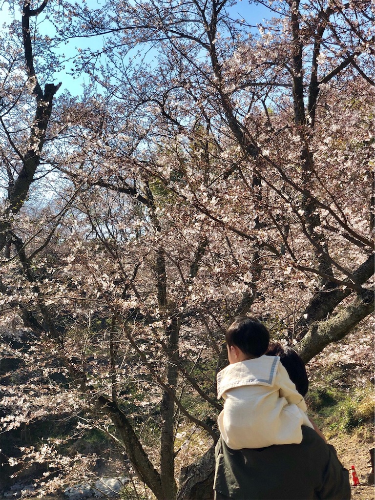 f:id:hachiburo:20191231082456j:image