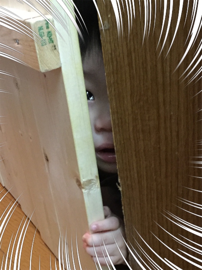 f:id:hachiburo:20200110215727j:image